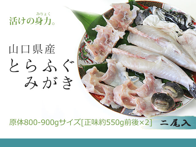 送料無料