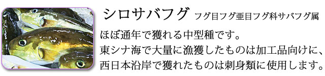シロサバフグを使用しております。
