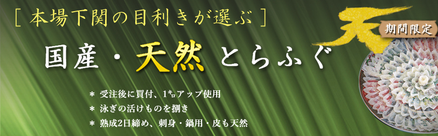 国産天然とらふぐセット