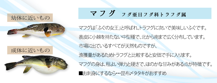 送料無料 真ふぐちり鍋用500g ふぐ通販なら 魚重