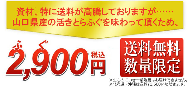 山口県産とらふぐがネット限定送料無料