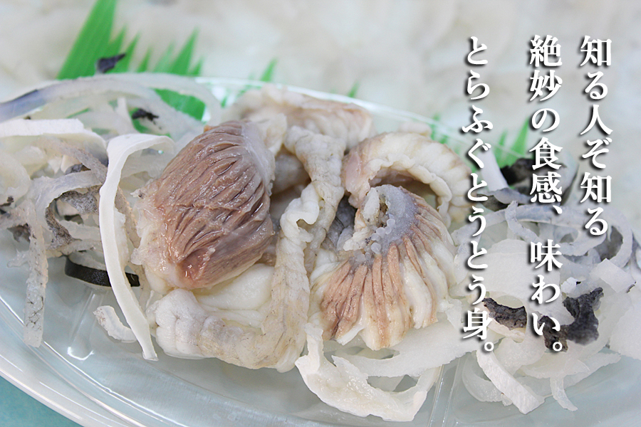 ぎゅっとつまった美味しさ、とらふぐとおとう身(すき身)