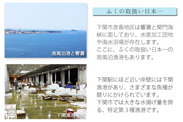 下関漁港と、南風泊漁港