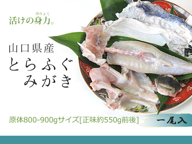 送料無料