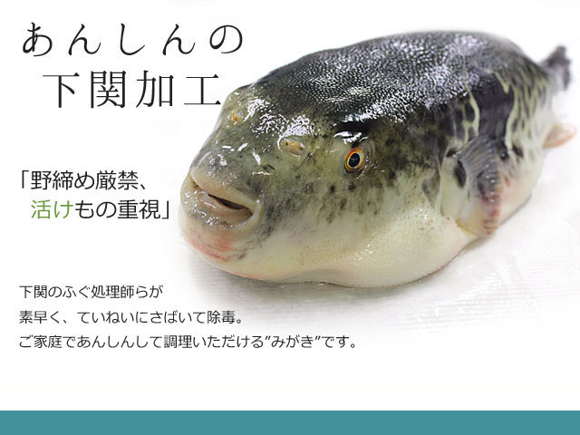 送料無料