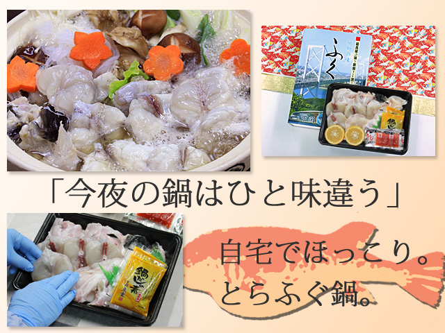 自宅で味わう、とらふぐのちり鍋